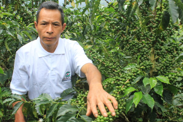 Servicios Agrarios Servicios Agrarios