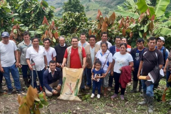 cacao cacao