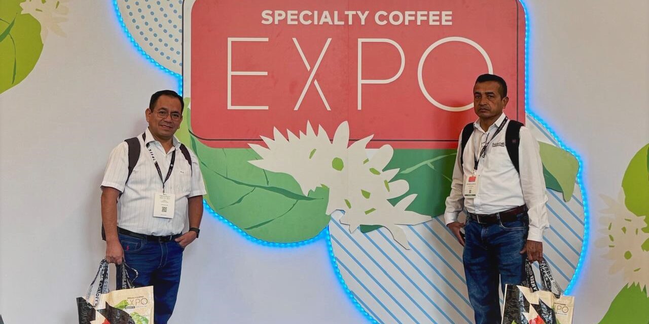 WhatsApp Image 2025-04-27 at 3.28.31 PM