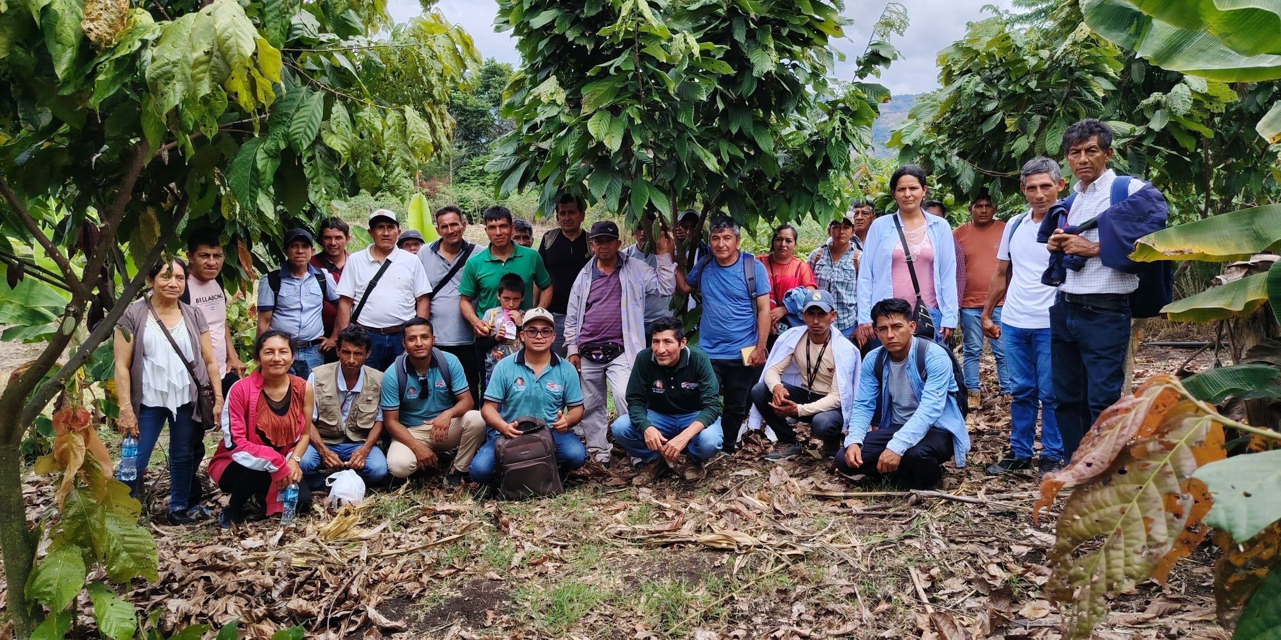 PRODUCTORES CACAOTEROS PEJSIB