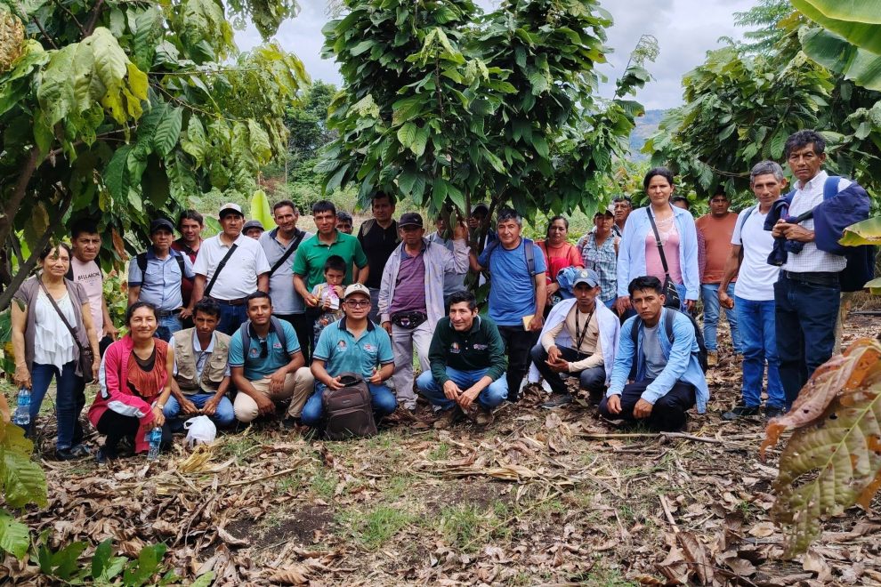 PRODUCTORES CACAOTEROS PEJSIB