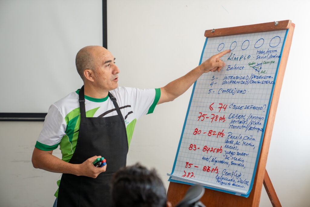 CURSO DE CATACIÓN NIVEL INTERMEDIO