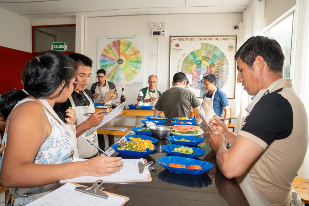 CURSO DE CATACIÓN NIVEL INTERMEDIO