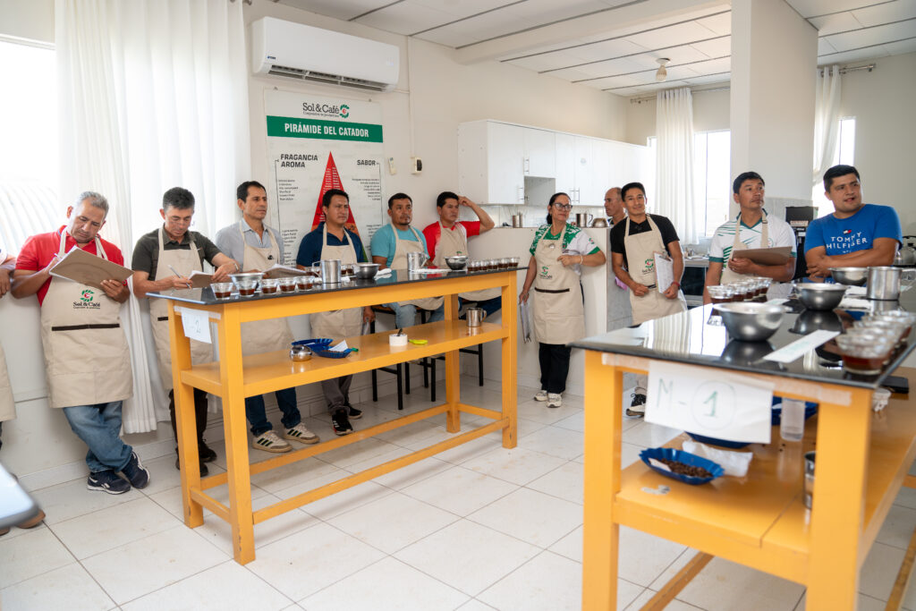 CURSO DE CATACIÓN NIVEL INTERMEDIO