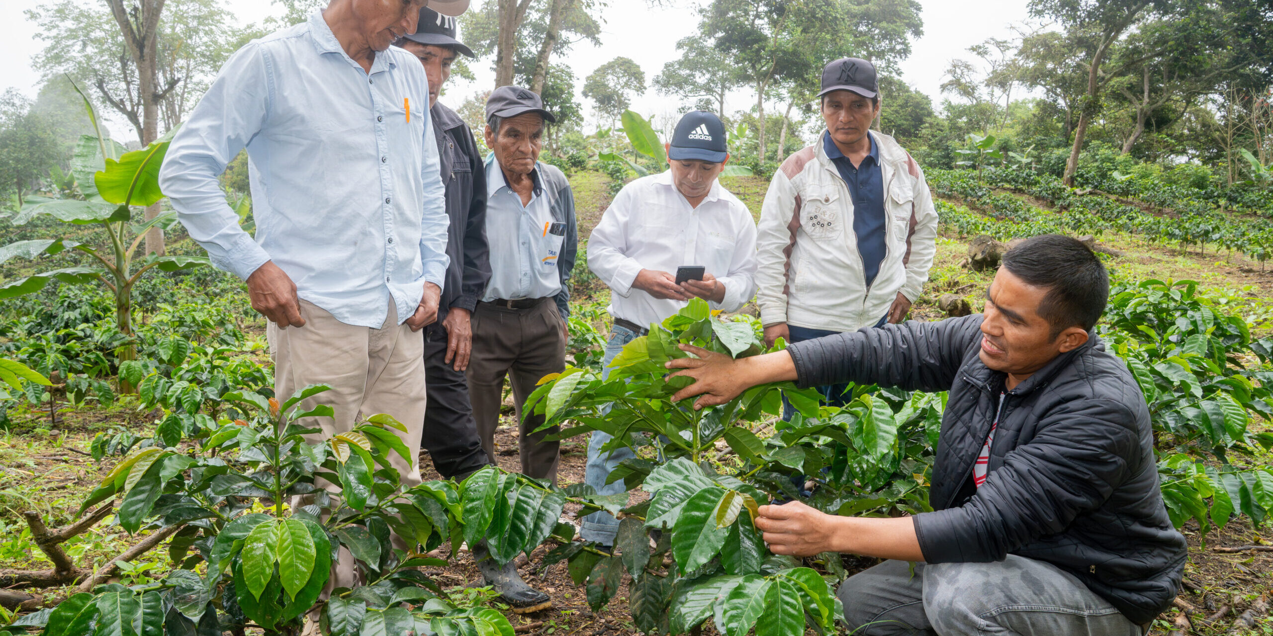 Pasantía productores del distrito de Salas