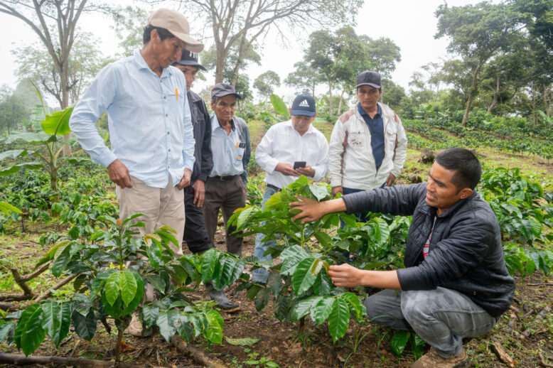 Pasantía productores del distrito de Salas