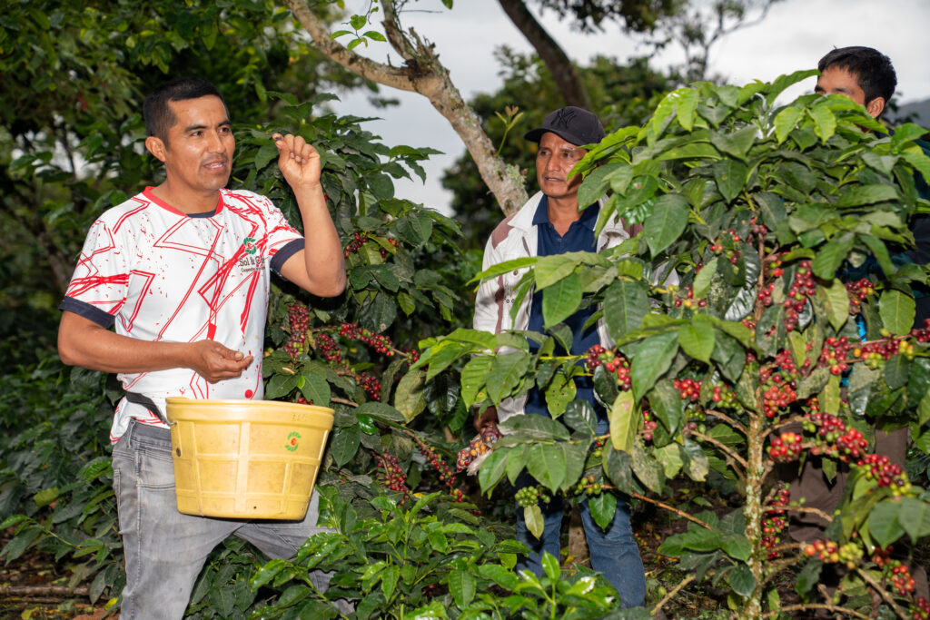 Pasantía productores del distrito de Salas